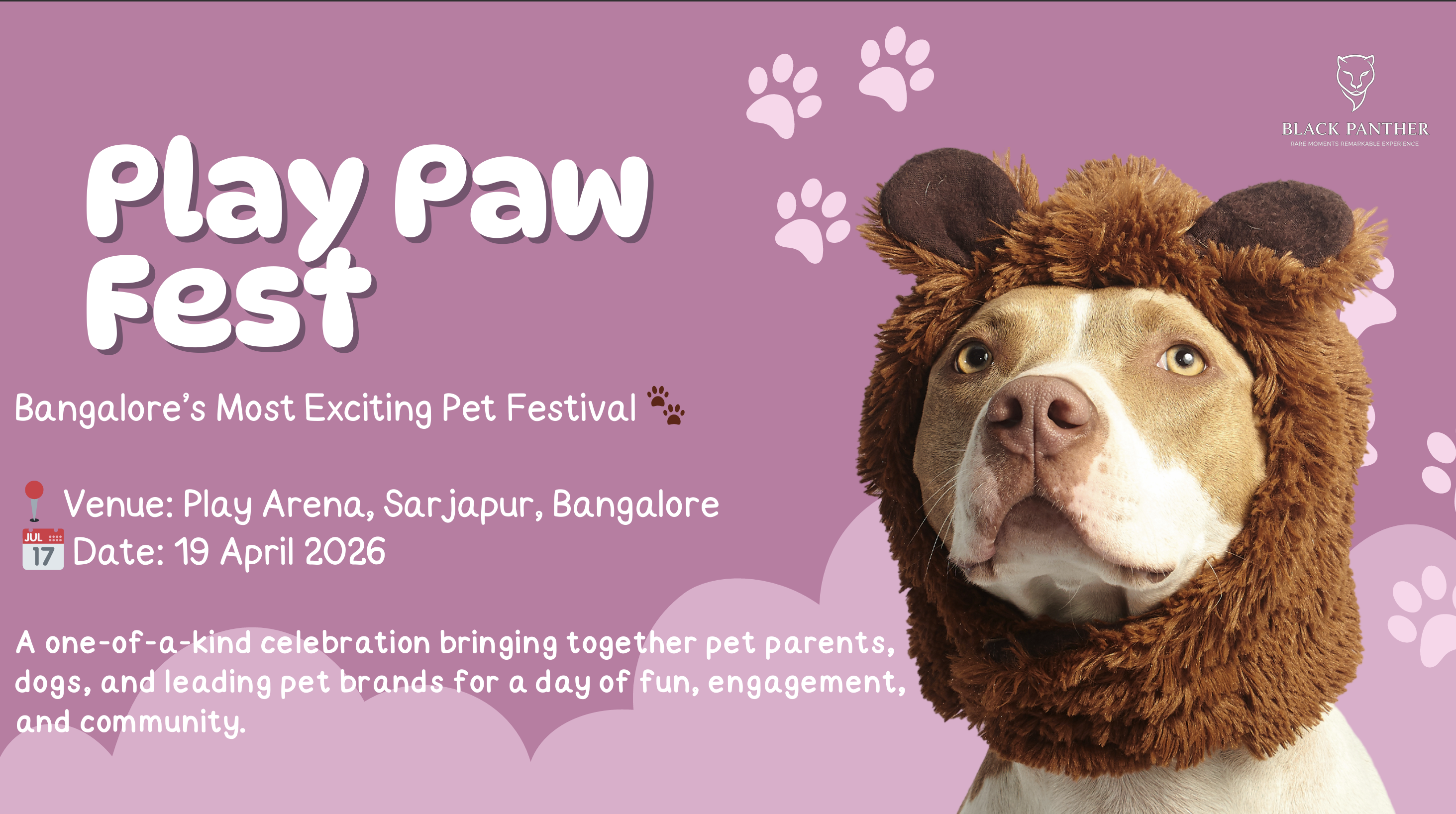 Play Paw Fest